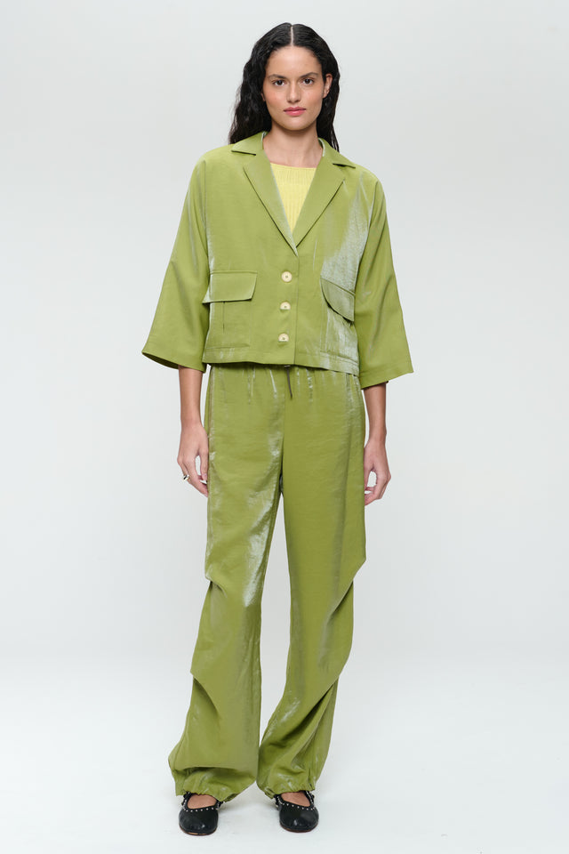 AvalonN shiny viscose pants | Lime