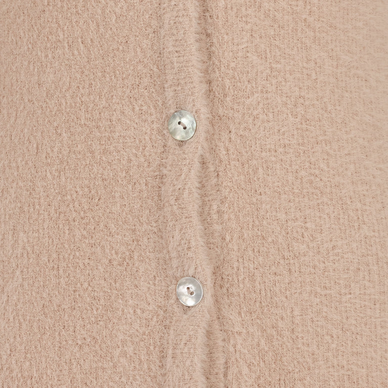 Favola Cardi | Pudra