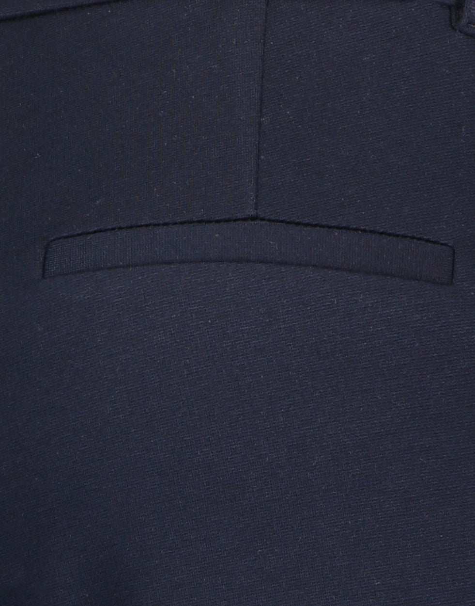 Pants Denver Eco Viscose | Blue